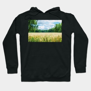 Gold wheat field Hoodie